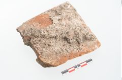 Foto von Ziegel (NHMW-PRAE-002368)